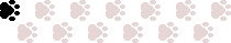 footprints